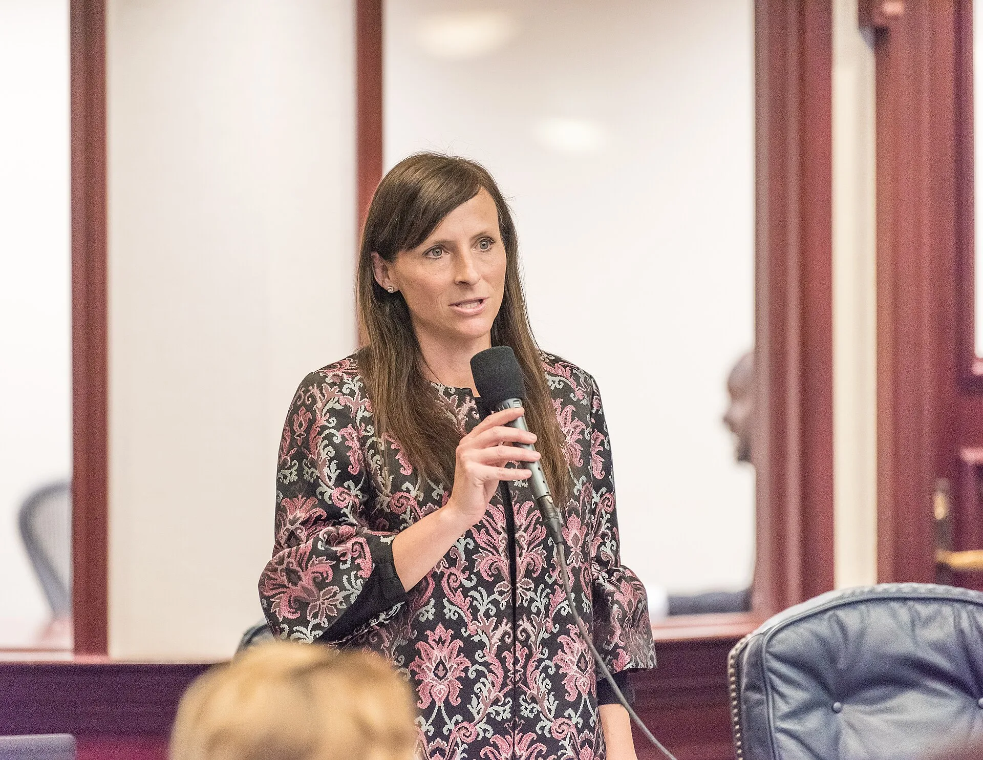 Rep. Margaret Good, D-Sarasota, explains HB 7009, an act relating to a review under the Open Government Sunset Review Act/Identification and Location Information/Department of Health, on the House floor. March 20, 2019
