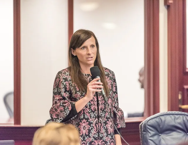 Rep. Margaret Good, D-Sarasota, explains HB 7009, an act relating to a review under the Open Government Sunset Review Act/Identification and Location Information/Department of Health, on the House floor. March 20, 2019. Professional services marketing: a worked cost example