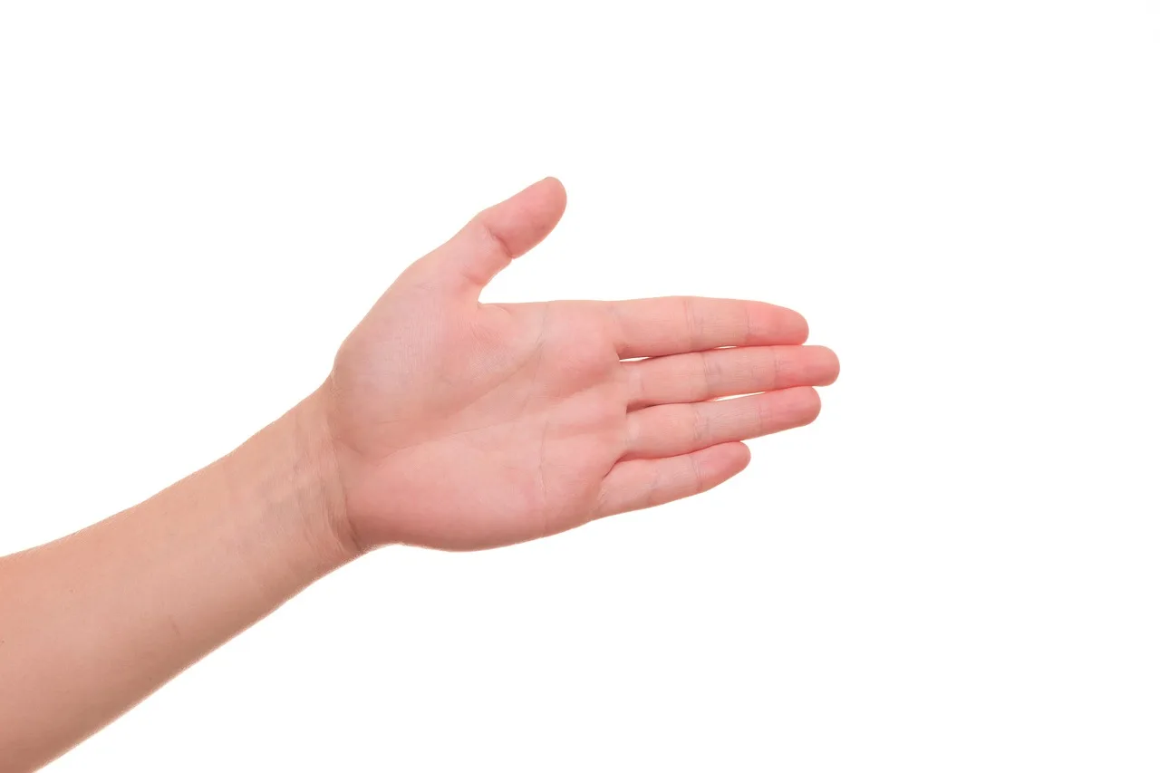 hand, palm, accompany, guide, by, to vote, participate, regards, greet, gesture, help, to shake, agreement, to shake hands, to agree, to wave, direction, palm, palm, guide, guide, guide, guide, guide